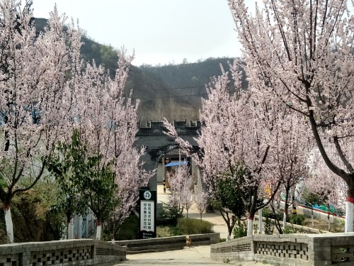 让村民直呼村庄像花园的印台阿庄，如何做好美丽乡村的“守”与“变”？