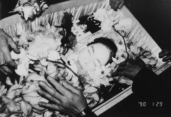 日本在世当代艺术家,日本当代艺术家太阳花