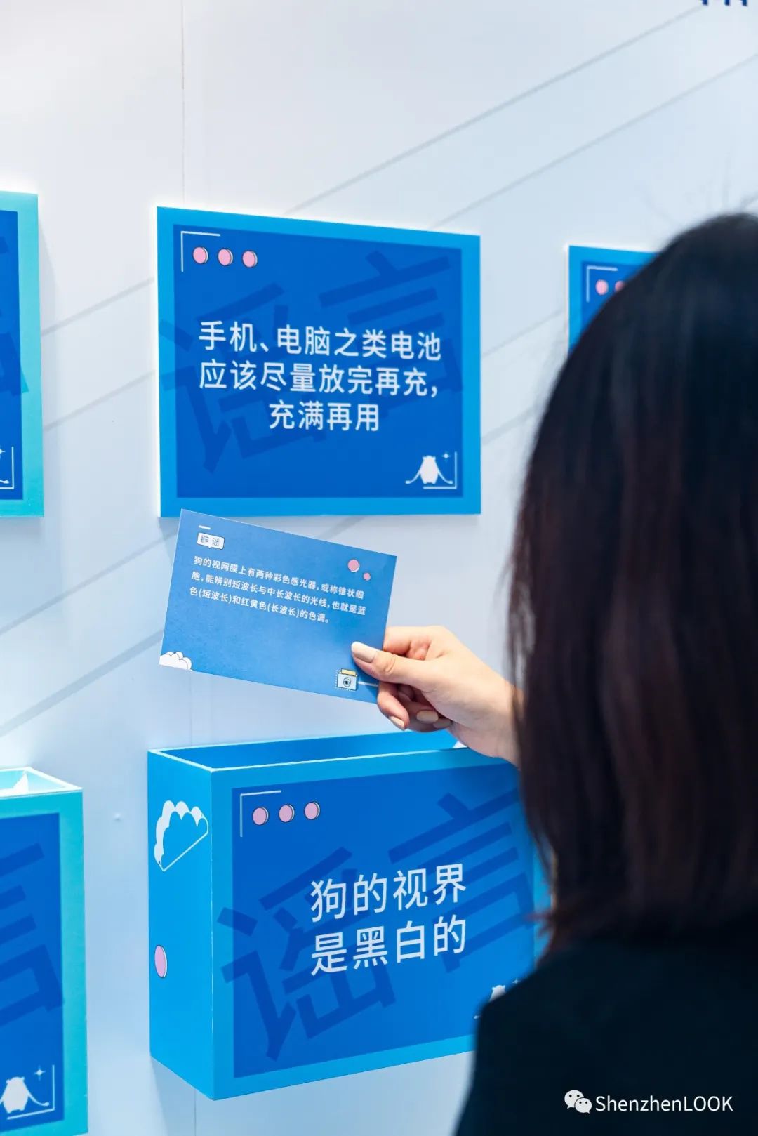 深圳地铁14号线最新消息 (深圳地铁14号线通车时间)