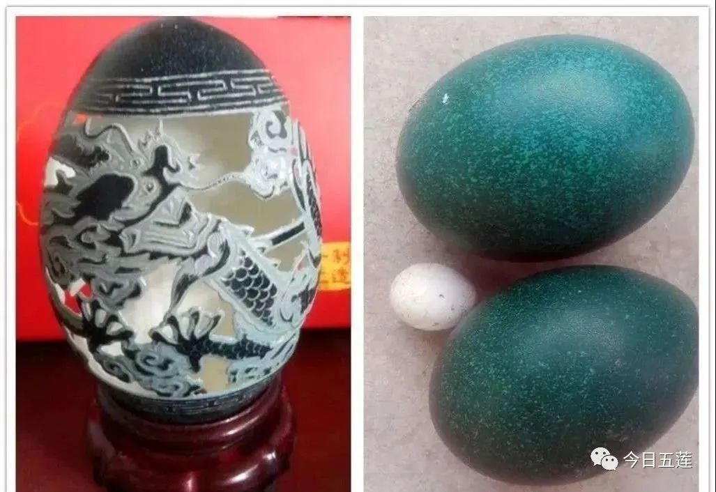 樱桃熟了五一好去处,采摘樱桃好去处五莲