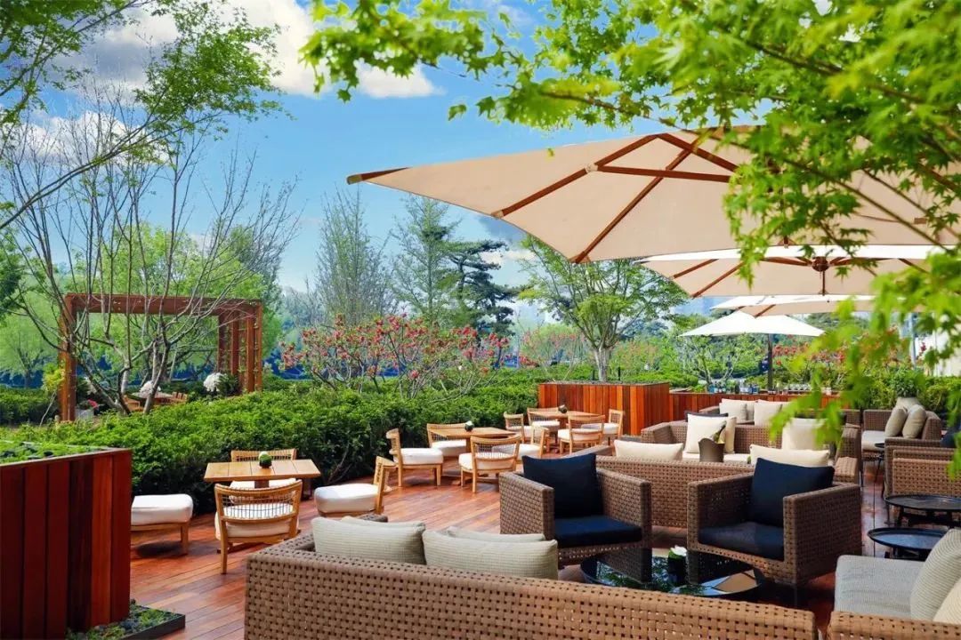 不热不堵人不多,城中开房度假难道不够爽吗?丨寻味