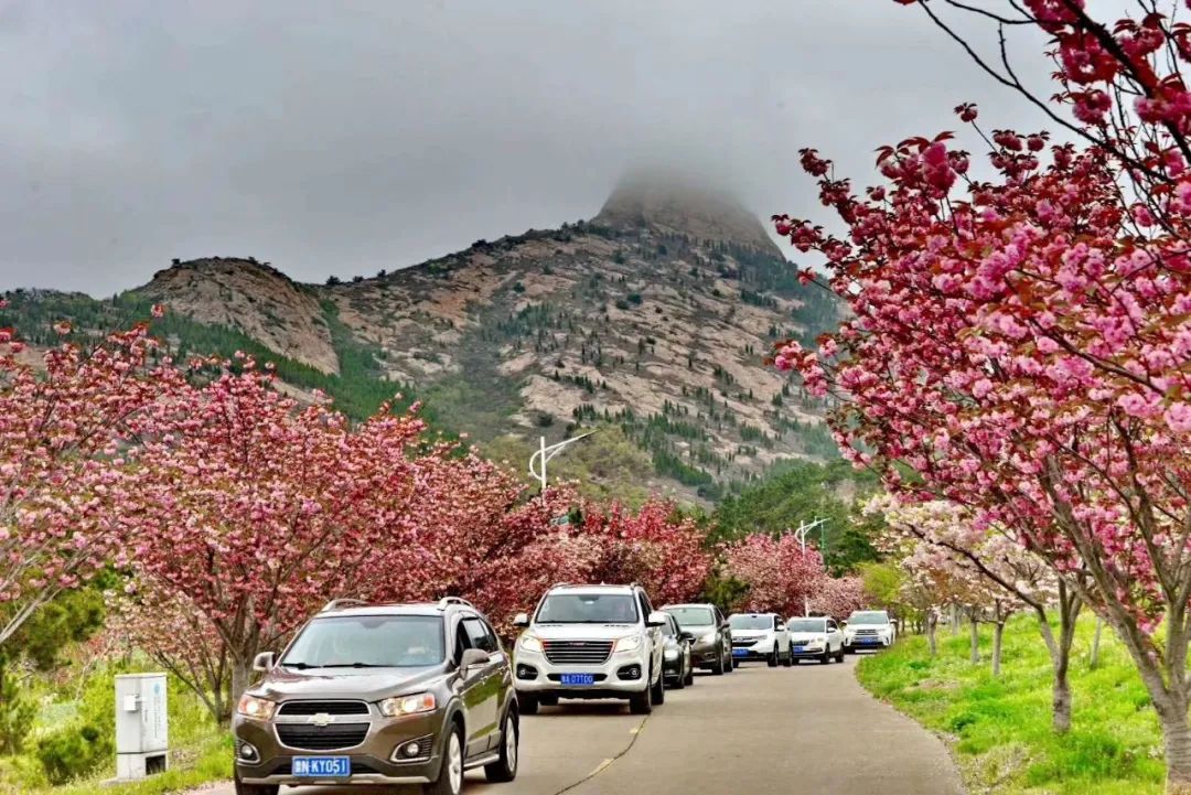 乳山景区开通会员服务,大乳山度假区