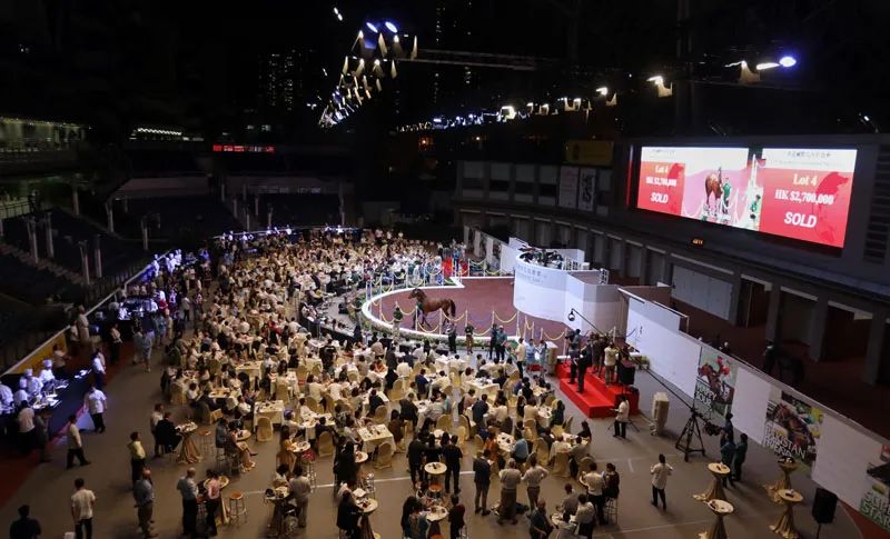 香港马匹拍卖价,香港马匹拍卖现场视频