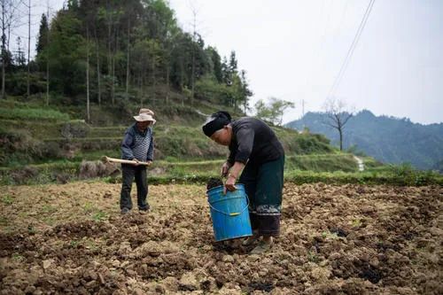十八洞村,腾飞十八洞村拆迁