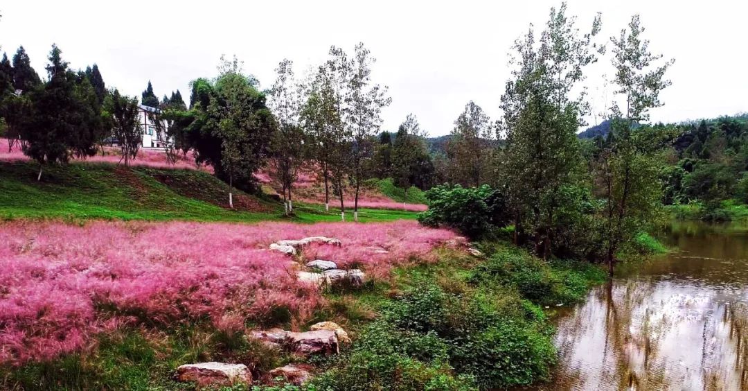 南充纳凉避暑玩水好去处,南充山里天然玩水凉快的地方