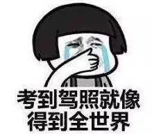 驾校合格率最新排名,最新驾校排名出炉速看