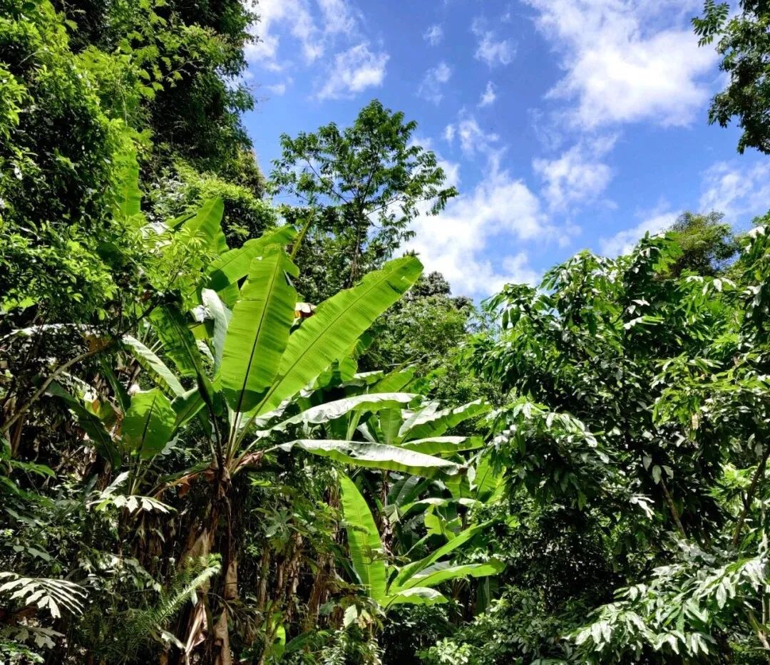 云南到昆明自驾游路线推荐攻略,云南到昆明旅游攻略自由行路线图