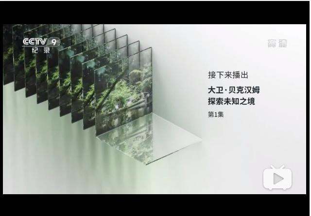 权威媒体曝贝克汉姆“*码有**”视频，明星们的*码有**照都是啥样的？