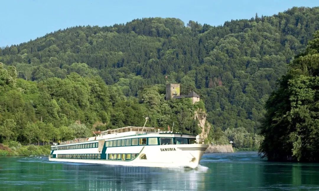 直播卖鸡卖米卖水果和课程，旅行社都在干什么？