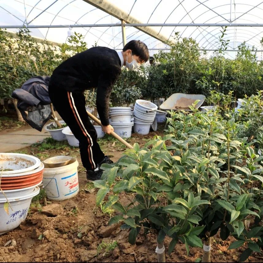 国务院通报表扬沭阳,沭阳县被表彰