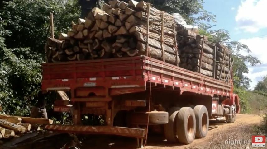 三个月砍掉20个曼哈顿,一年砍掉一个国家,亚马逊已经到了最危急的时候