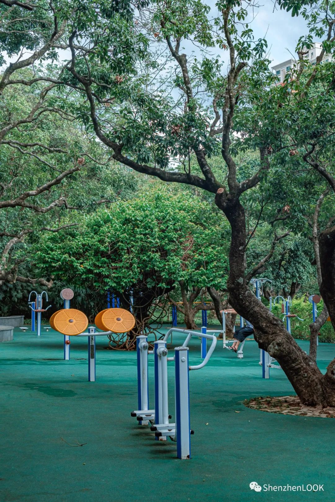 严浩翔说look这是tnt什么舞台,look这是什么牌子的包包