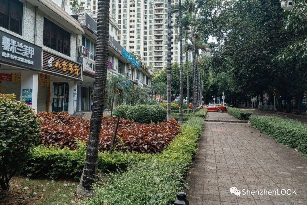 look这是什么牌子的包包,严浩翔说look这是tnt什么舞台