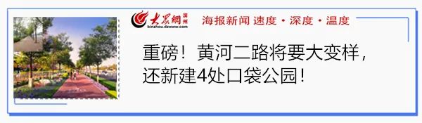 山东已破获电信网络诈骗案,山东省滨州网络诈骗案件最新
