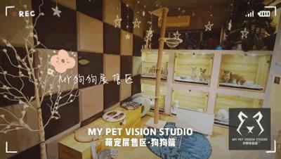 网友吸猫撸狗,吸猫撸狗的地方