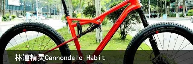 骑车为啥要穿瑜伽裤,骑公路车有没有必要穿骑行袜