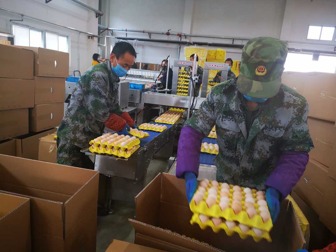 甘肃一扶,甘肃礼县一扶一带名单