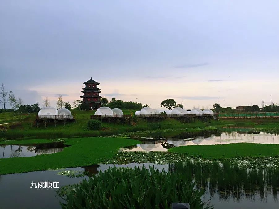 广西景色超好的民宿,广西最好看民宿