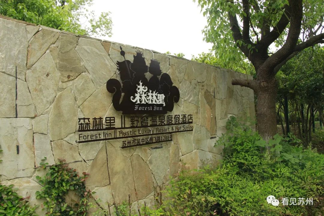苏州森林里野奢树屋,苏州泡温泉度假的地方推荐