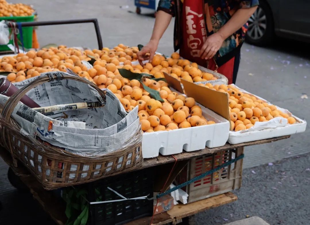 少陵路是属于哪个街道,三年前少陵路