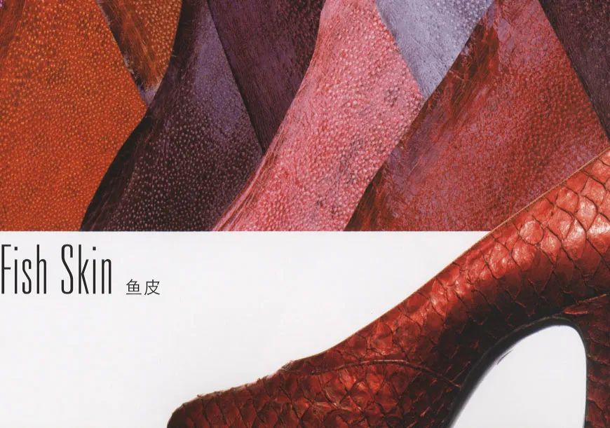 奥黛丽·赫本孙俪,孙俪and赫本