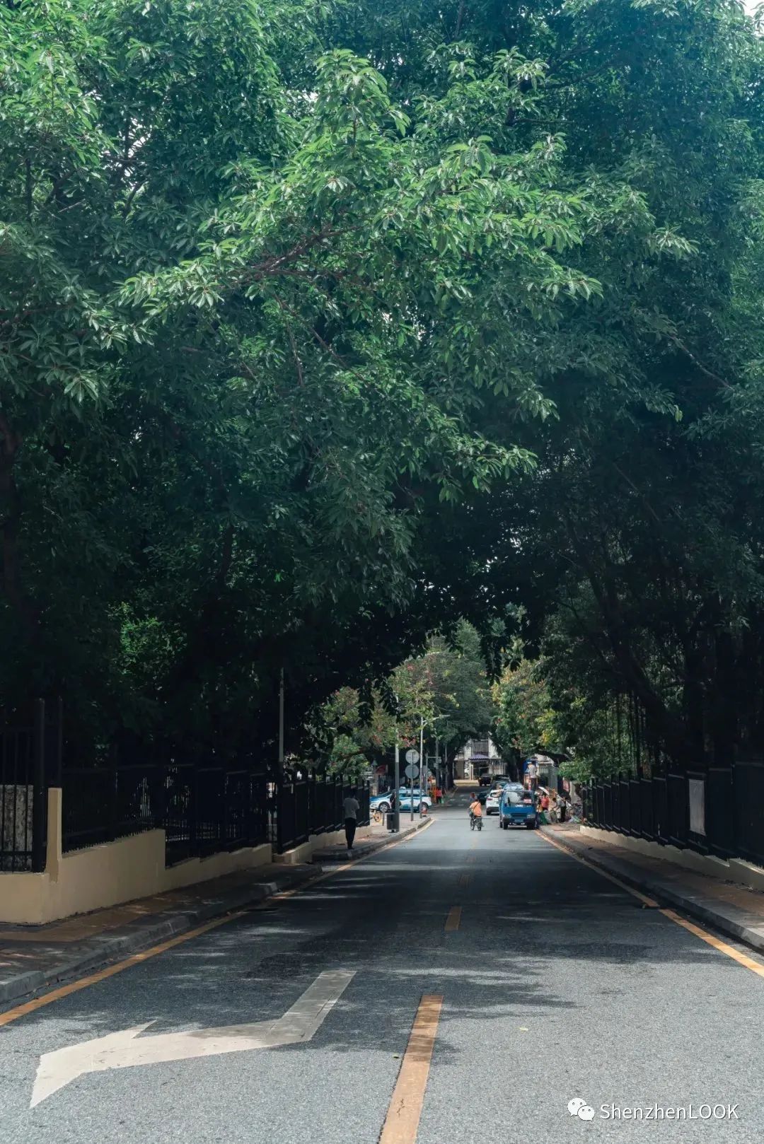 LOOK|这，就是园岭