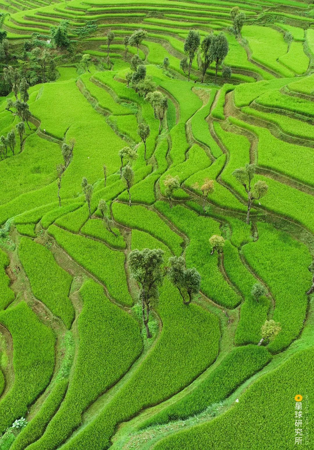 云南红河景色迷人,云南红河州哪些地方自然风光美