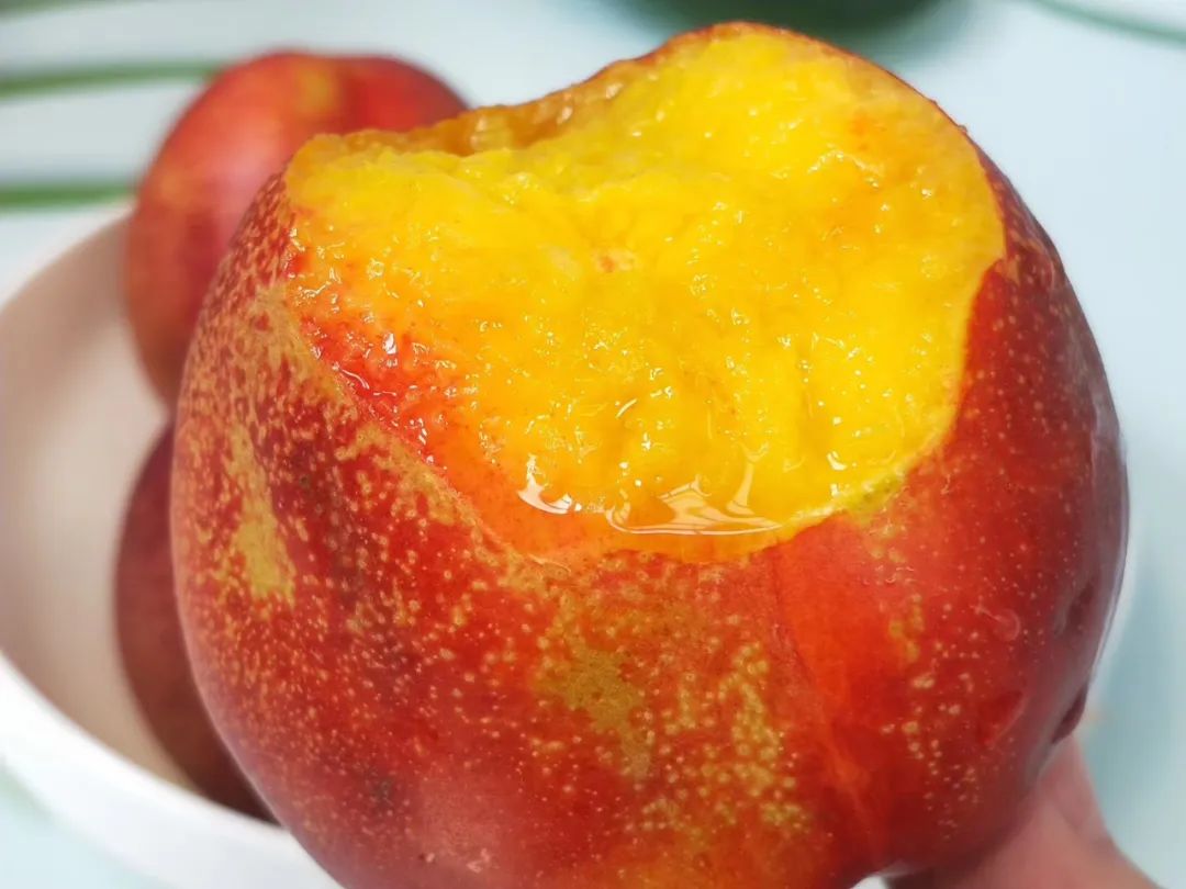 桃子油桃,黄心油桃5斤应季大桃子