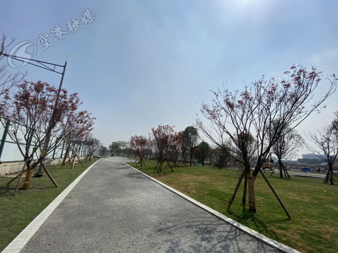 空港体育公园现在可以进去吗,空港体育公园还开放的吗