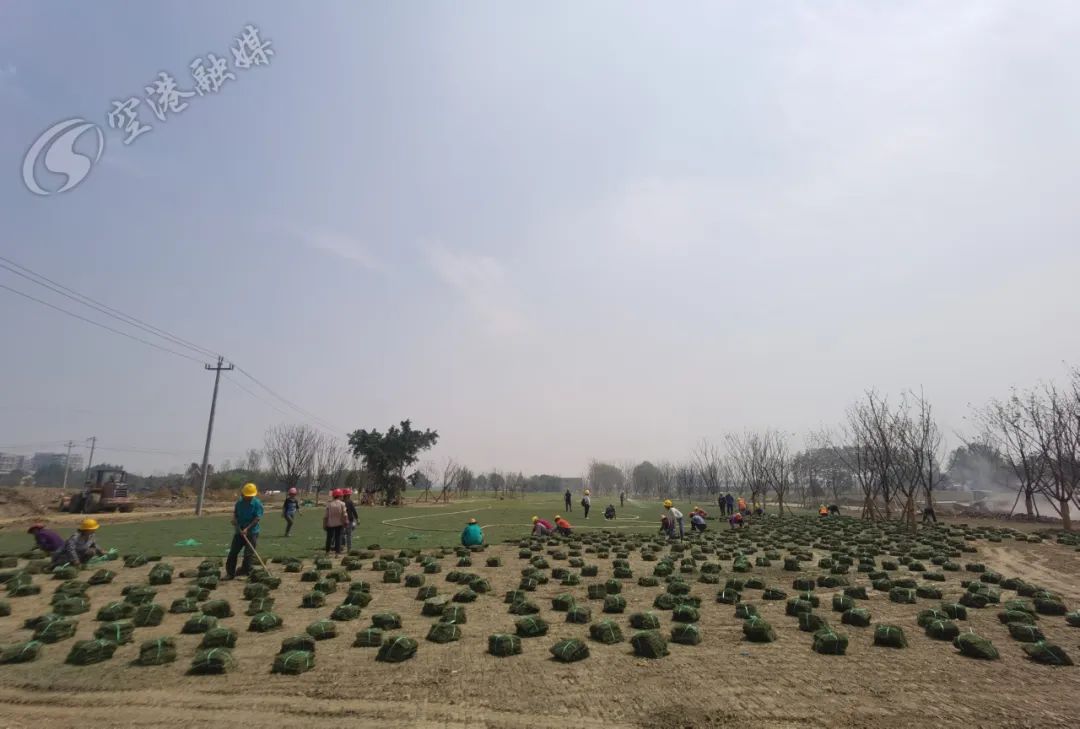 空港体育公园最新消息,空港运动公园开放时间