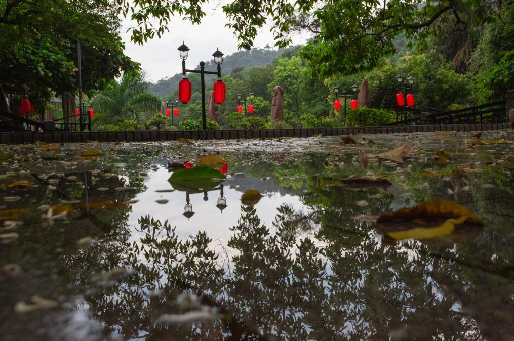 肇庆鼎湖山周边便宜的酒店,肇庆鼎湖山景区住宿