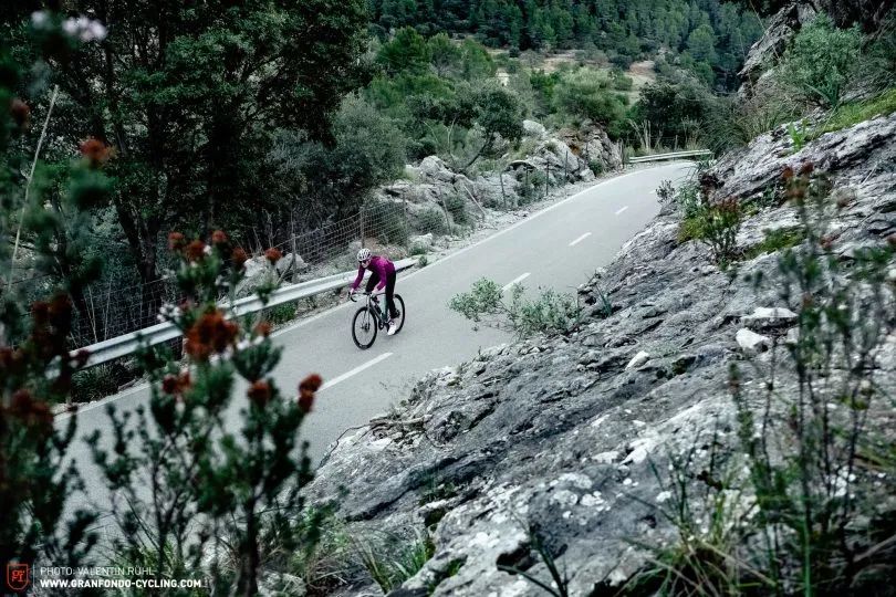 外媒评测2021最佳公路车,十大最佳公路自行车评测