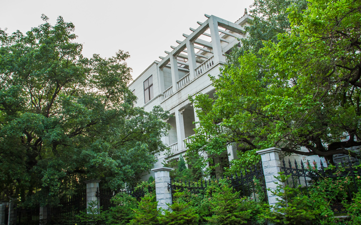 鞍山东山宾馆玉兰花,鞍钢东山宾馆预订