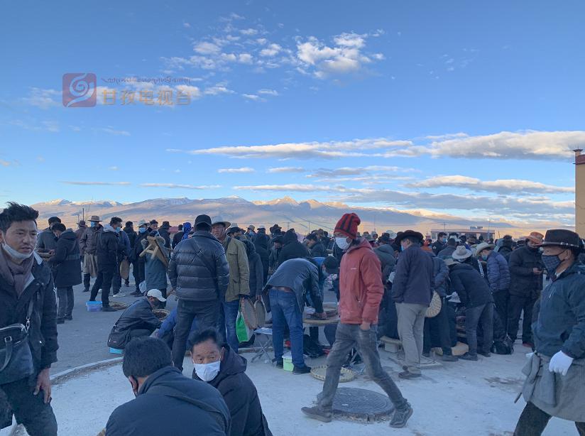 “软黄金”出土到上市！虫草商人的袖里乾坤竟是“摸手谈价”！