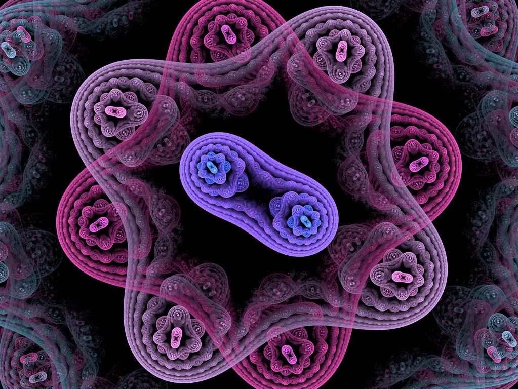 NEJM宣告益生菌有效,蛰伏中国9年,哪家公司这么强?