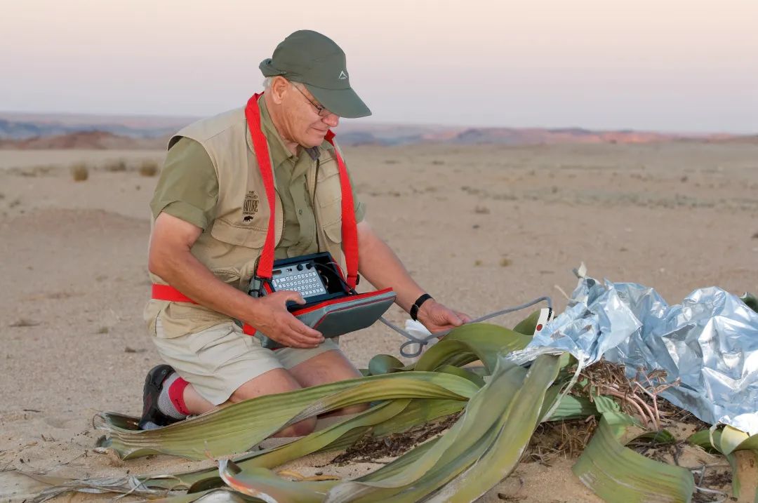 这样的鸟兽胖友圈，你见过吗？
