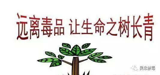 你必须知道的国防知识,禁毒宣传禁种铲毒这些知识要知道
