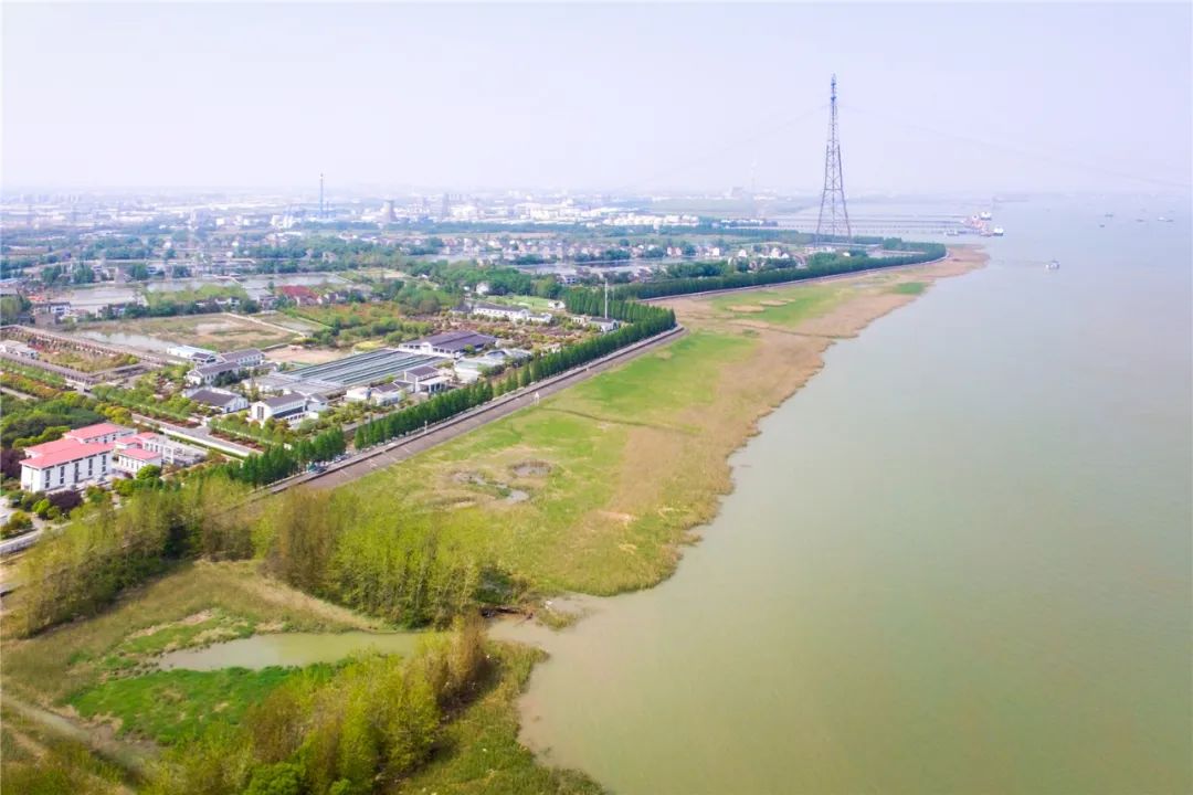 未来五年江阴这里真的会大变样吗,新动作新气象