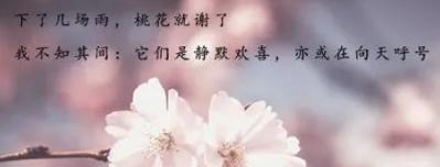 每日好诗投稿,每日好诗戈壁朗诵