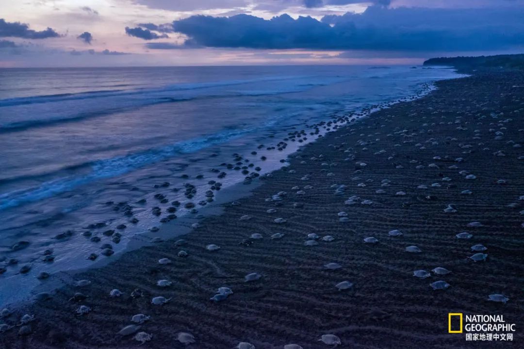 新冠肆虐,新冠在东南亚持续肆虐