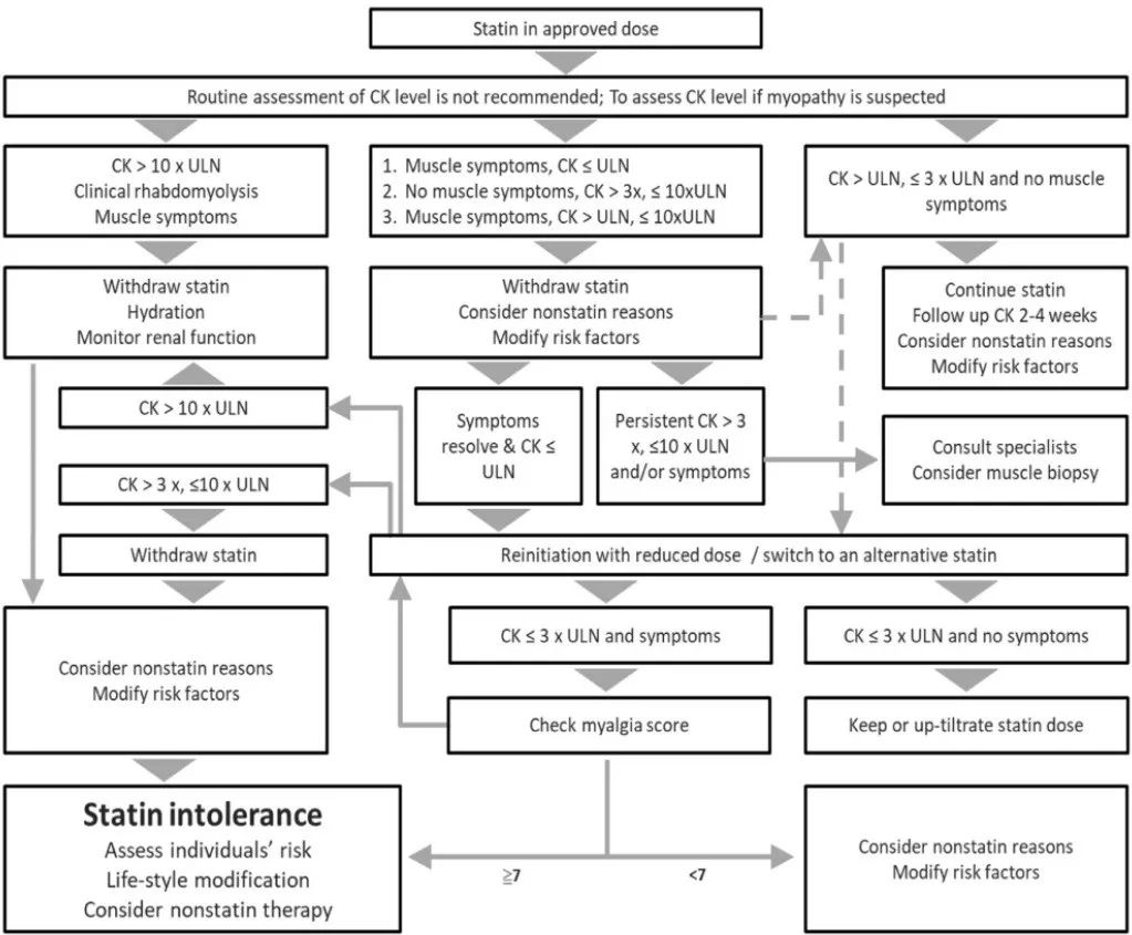 他汀类药物不耐受识别,他汀不耐受怎样间断用药