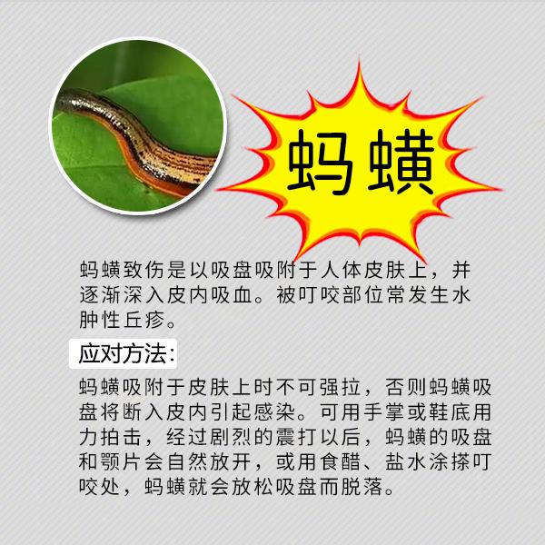 夏季粮食防虫小妙招,夏季防虫小妙招