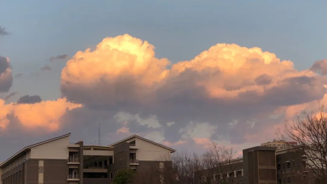 无声云南师范大学,母校云南师范大学
