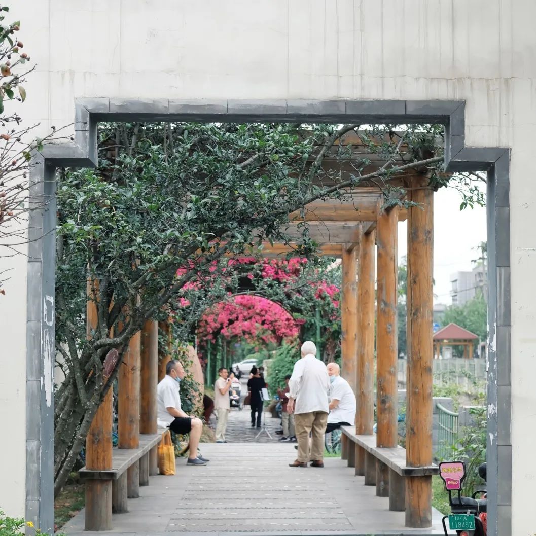 少陵路是属于哪个街道,三年前少陵路