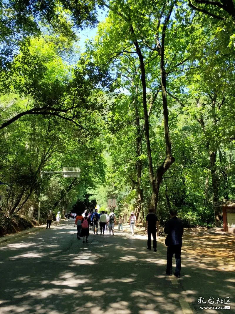 昆明2023年发展最新消息,昆明未来的发展将颠覆你的想象