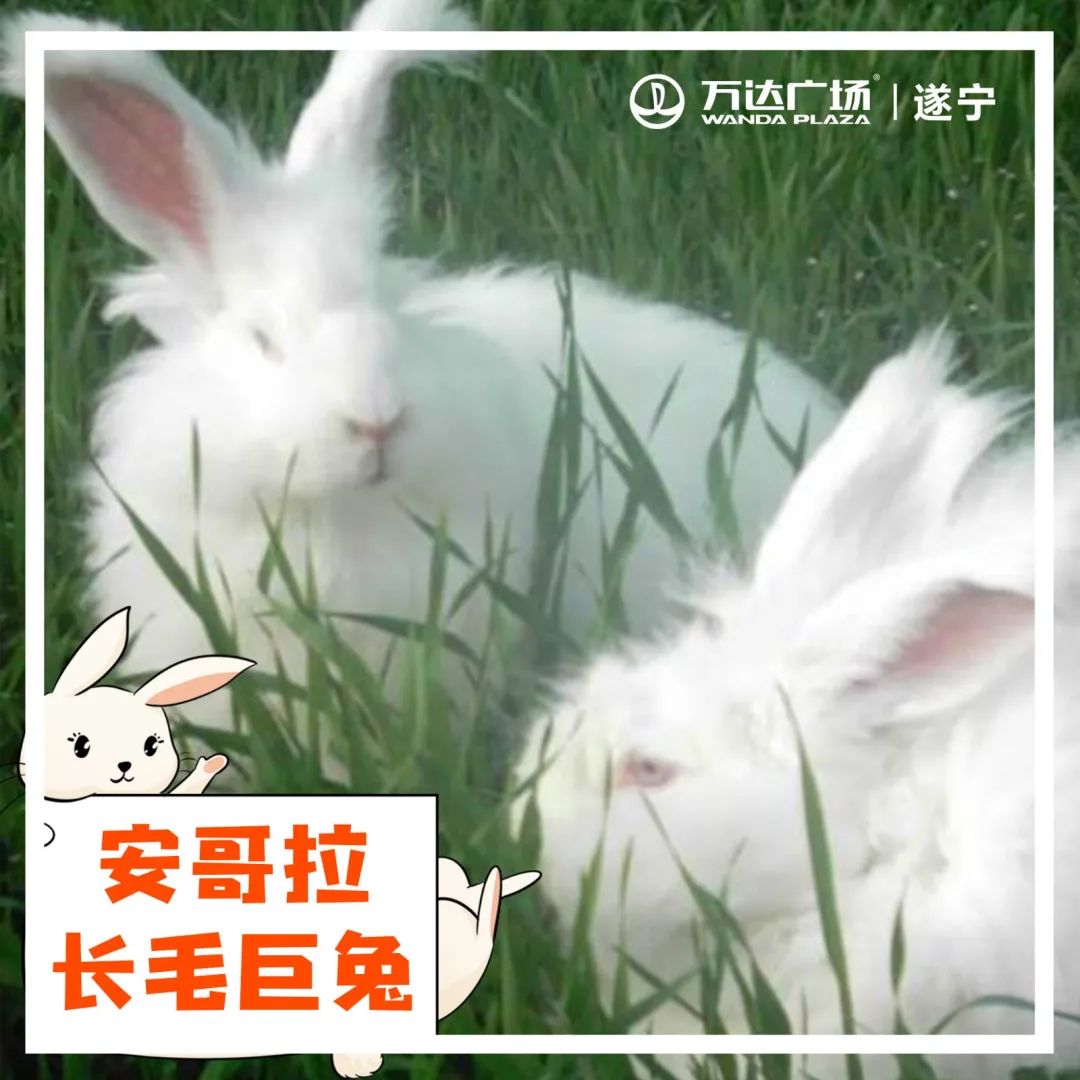 小宝贝解封后秒变“神兽”，这里有魔力啊