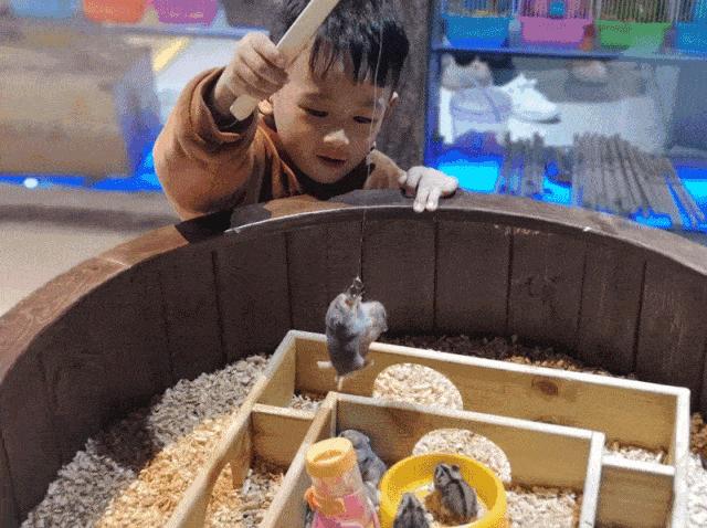 小宝贝解封后秒变“神兽”，这里有魔力啊