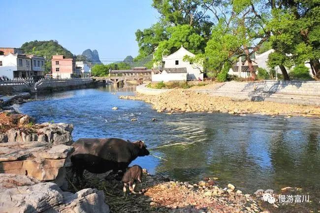 富川慢城,富川慢城花海攻略