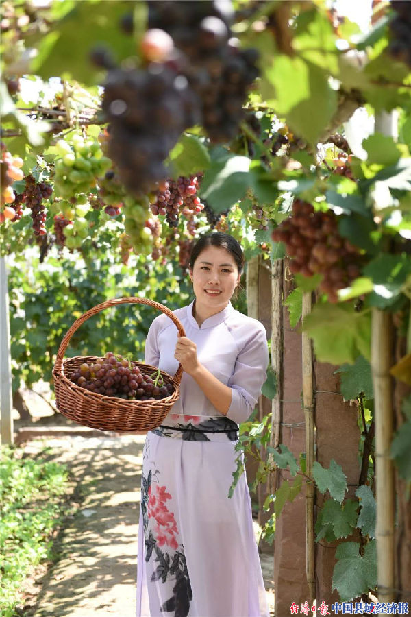 蒙阴大学生回乡创业,沂蒙返乡青年