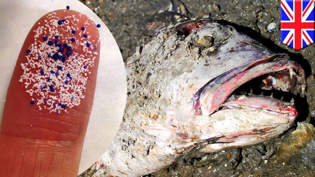 这个东西别乱扔，能换钱